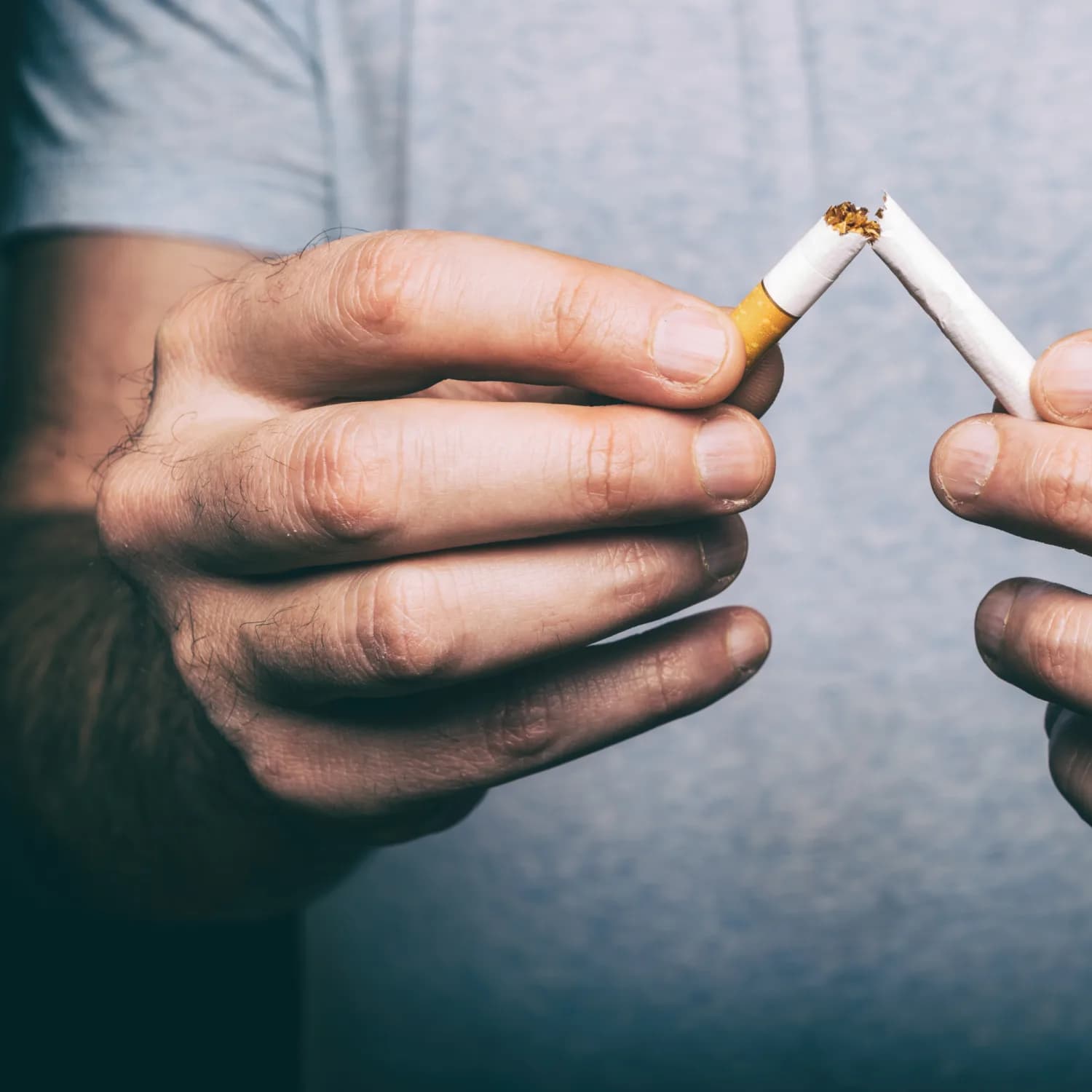 Chesterfield Cigarettes – Genuine Products Delivered by Cigarette Store