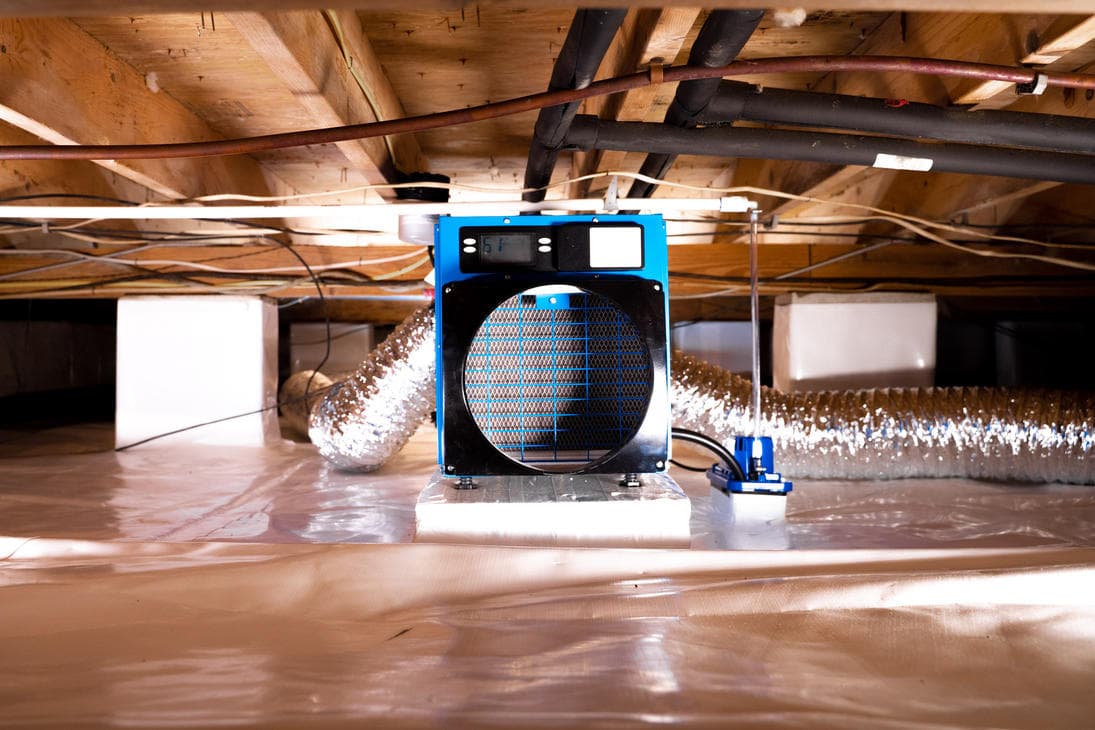 Effective Basement Dehumidification Solutions for Homeowners