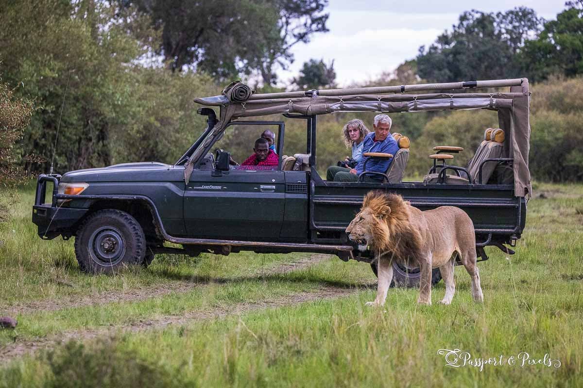 Kenya Safari Tours: Maasai Mara, Amboseli &amp; More