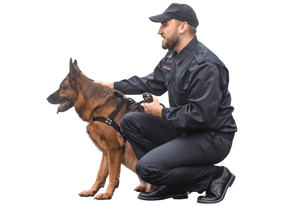Effective Security Dog Services in Coventry for Enhanced Protection