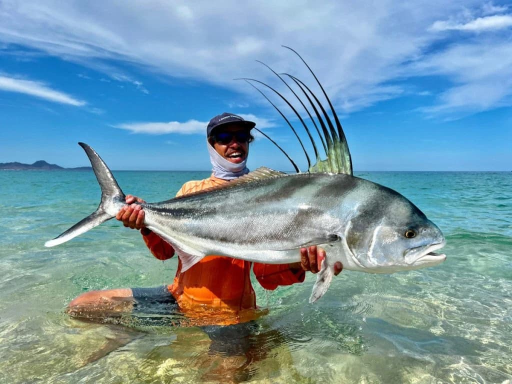 Marlin Fishing in Cabo – Pro Sportfishing Insights by Cabo Verified