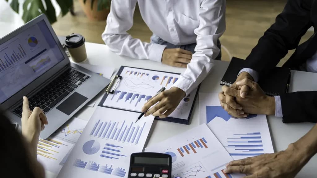 Business Advisory and Consulting for Sustainable Growth