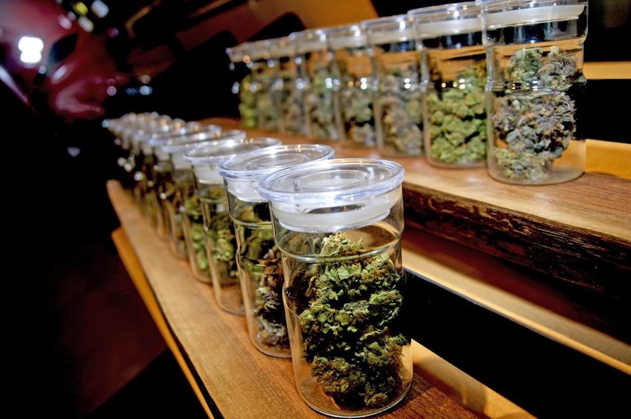 Why Tourists Prefer a Reputable Cannabis Shop Madrid