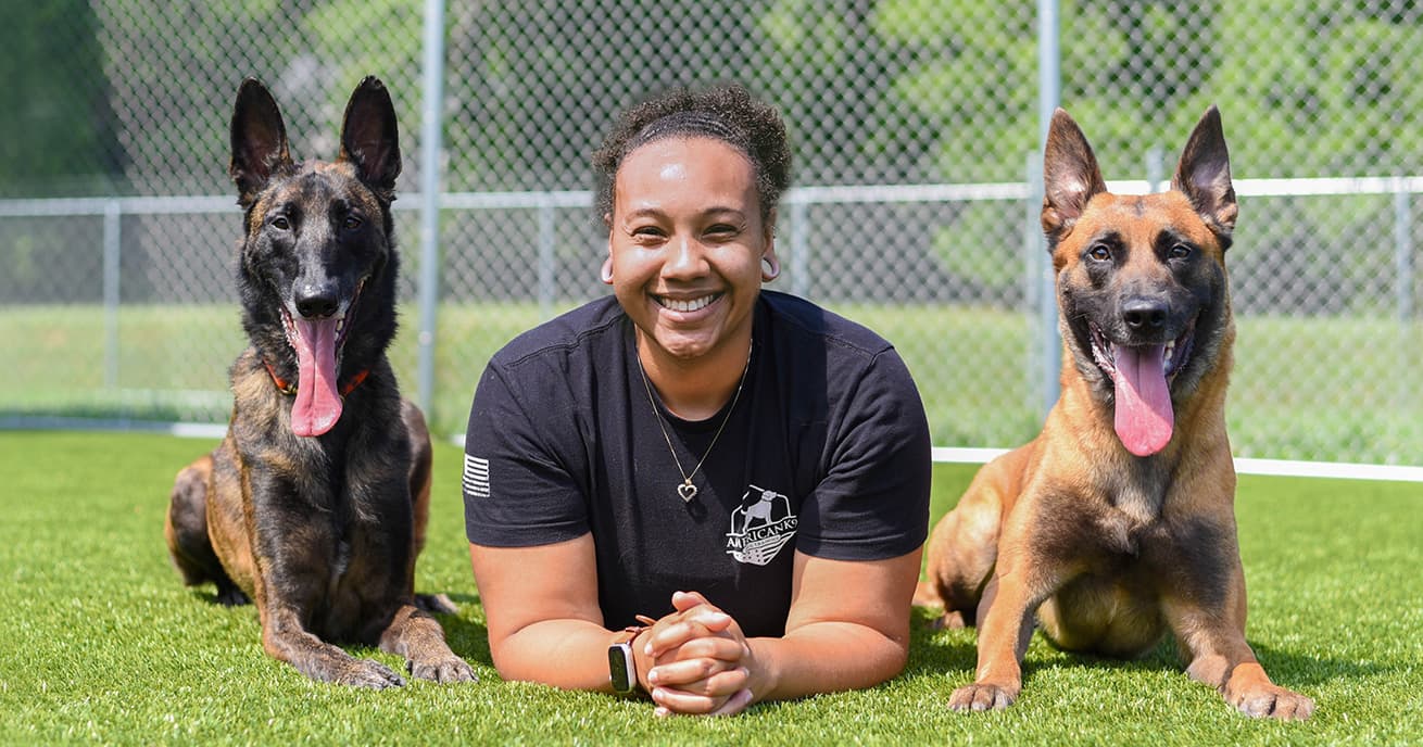Dog Training Accountability Programs Phoenix Guide