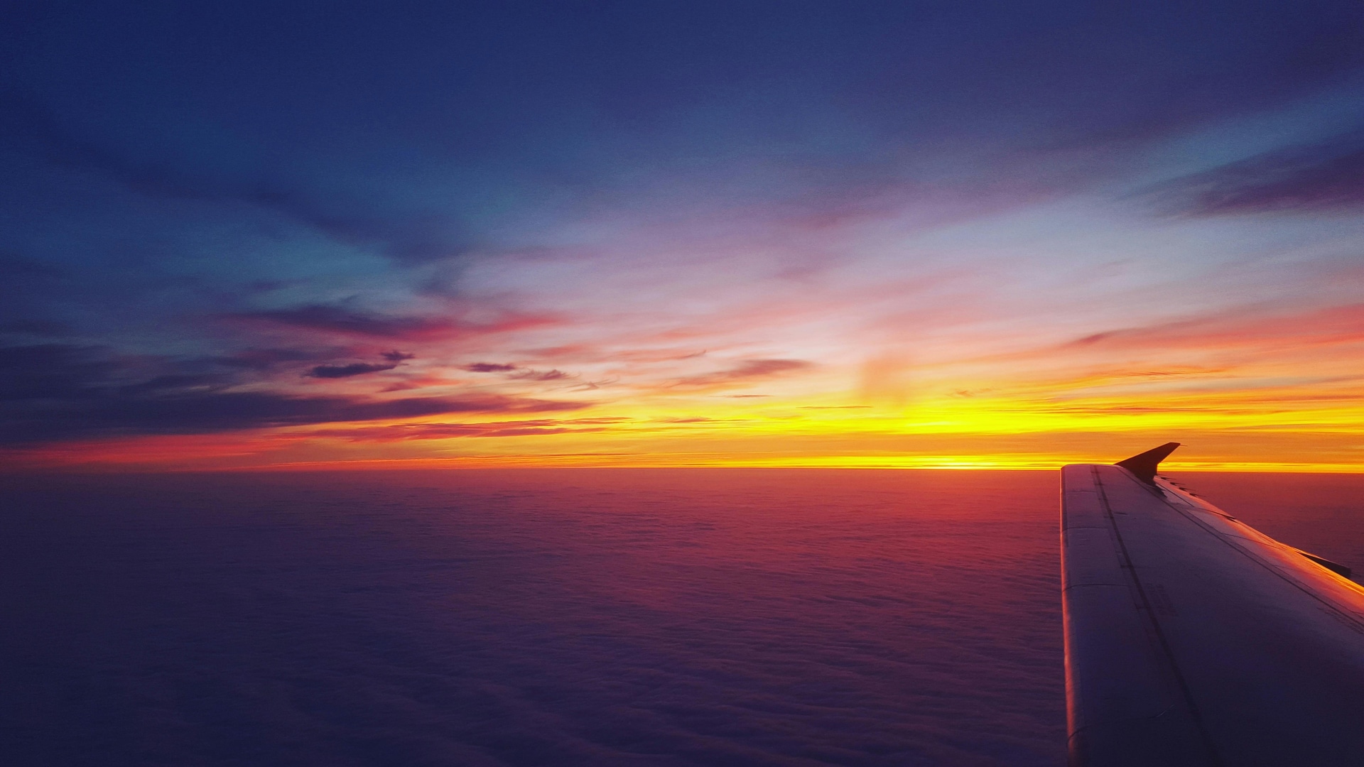 Find Cheap Flights and Affordable Packages with Gohaliday