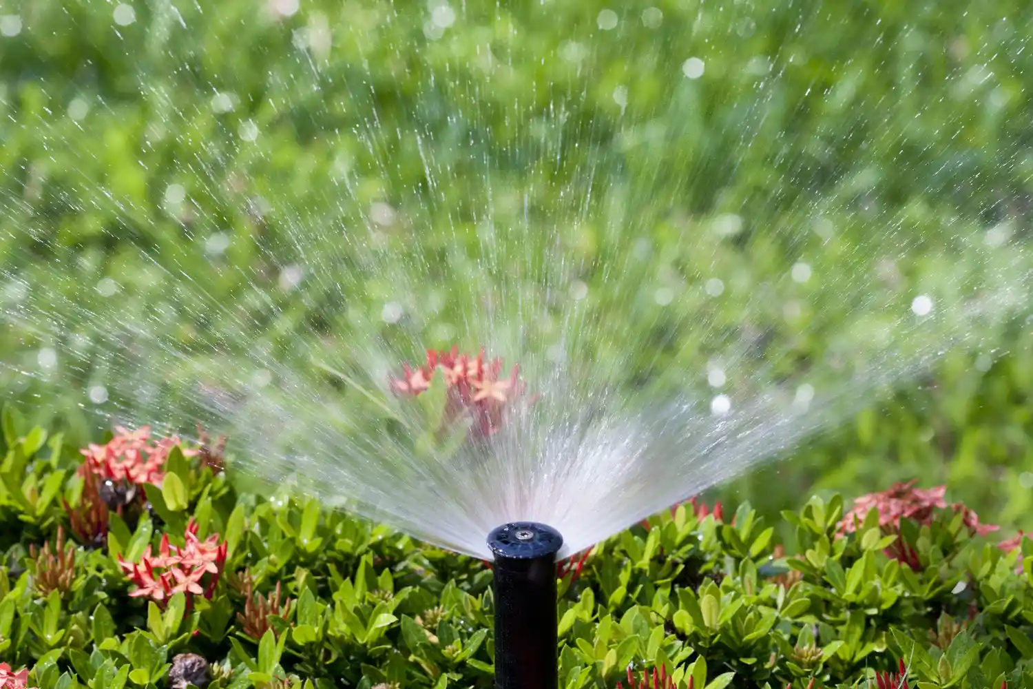 Professional Irrigation Services in Willow Park, TX for Smart Lawn Solutions