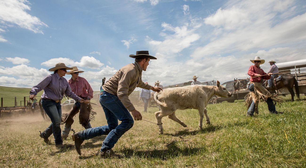 Shop the Best Cowboy Shirt Canada for Western Style and Function