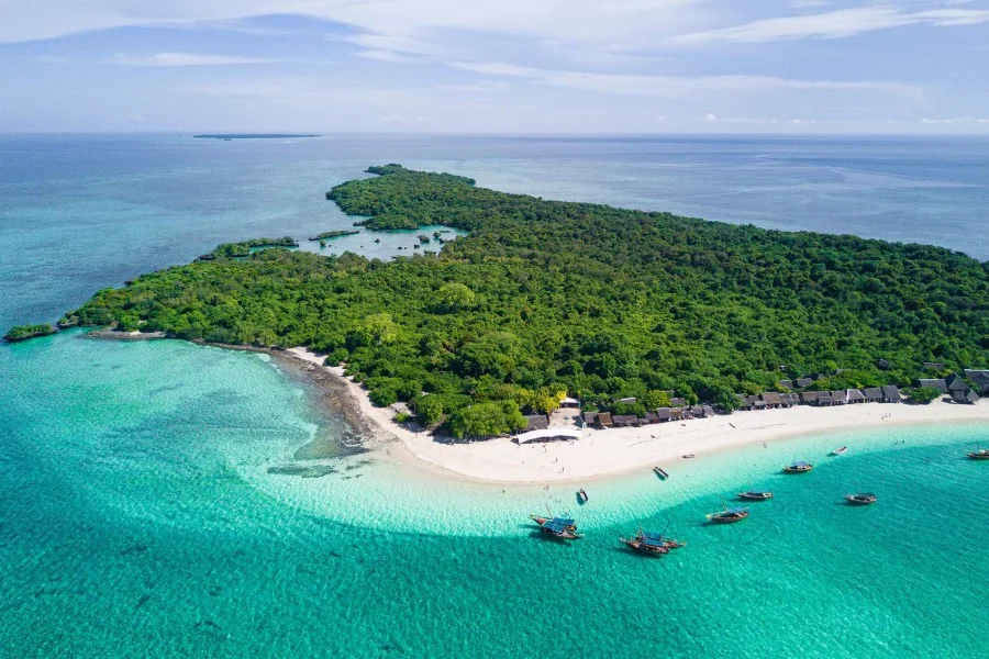 Zanzibar Tour Operators: Offering Authentic Experiences on the Spice Island