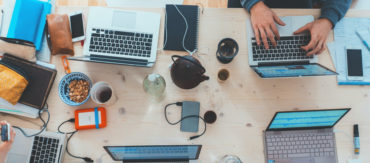 Local Businesses Rely on Professional Website Management Services