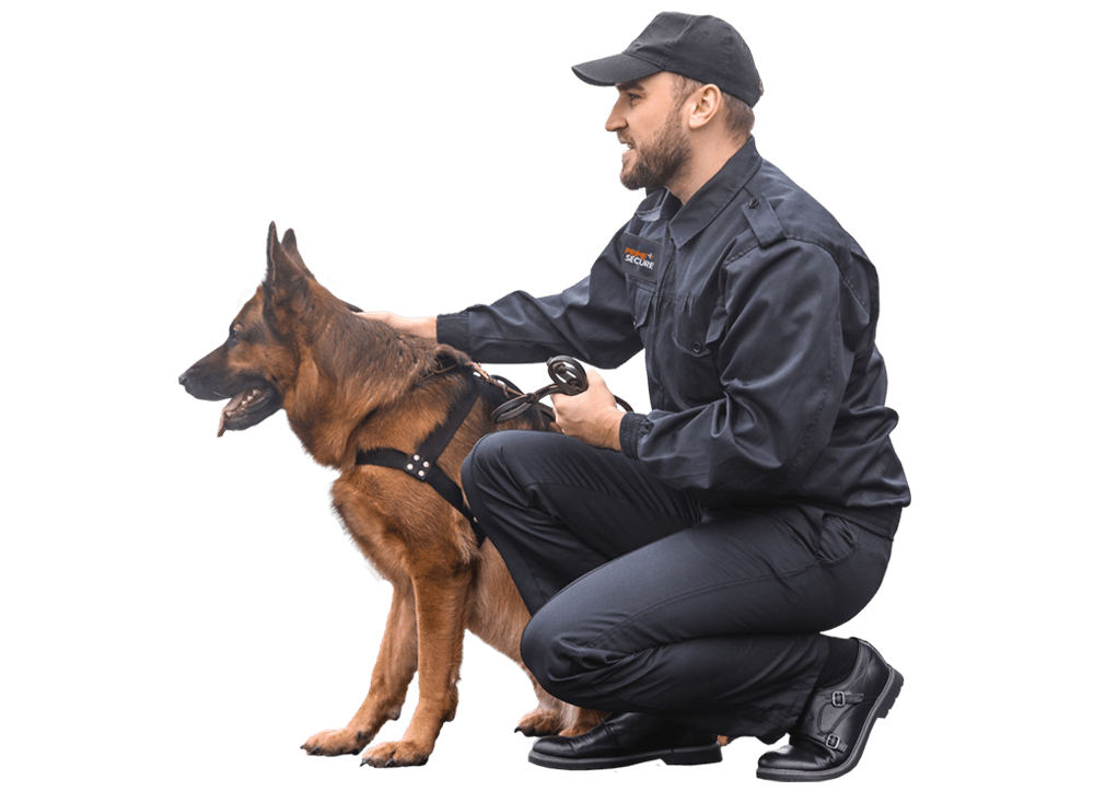 Effective Security Dog Services in Coventry for Enhanced Protection