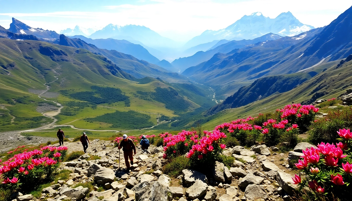 Trekkers navigating the challenging goechala trek with stunning mountain vistas in the background.