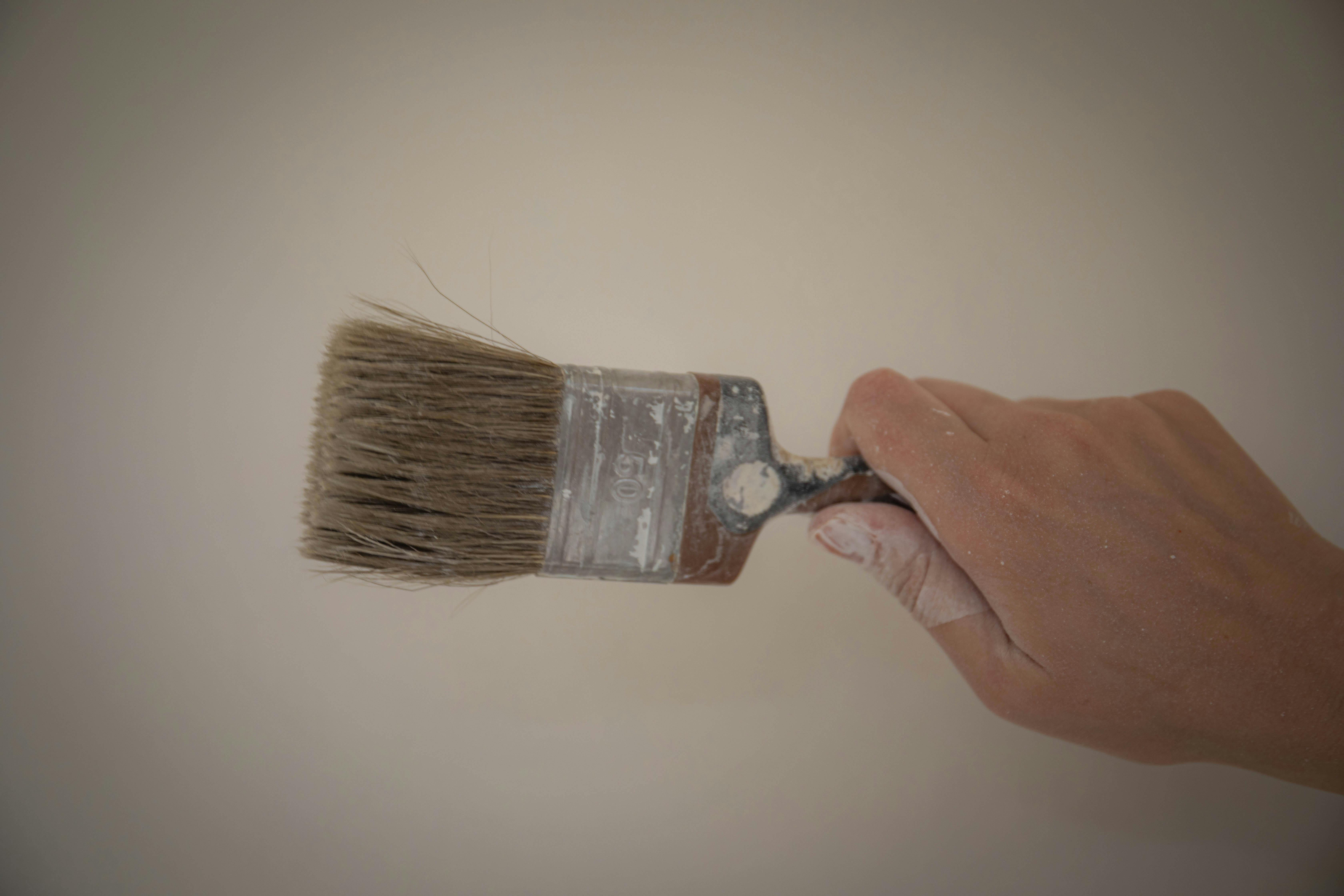 Expert House Painters Minneapolis – Bringing Your Vision to Life